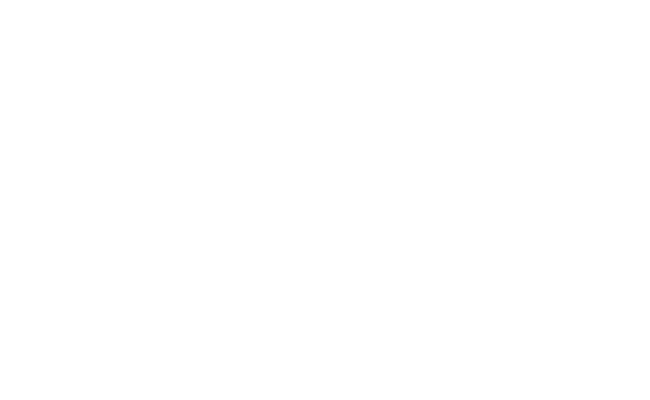 logo2 dancemoves – Tanzschule Büron bei Sursee